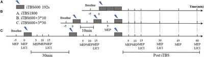 The After-Effect of Accelerated Intermittent Theta Burst Stimulation at Different Session Intervals